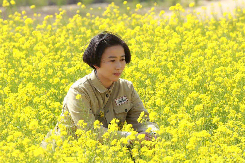 At the Place Where the Peach Blossom Blooms China Drama